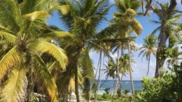 Antilles hors vacances scolaires : quelles semaines viser vraiment ?