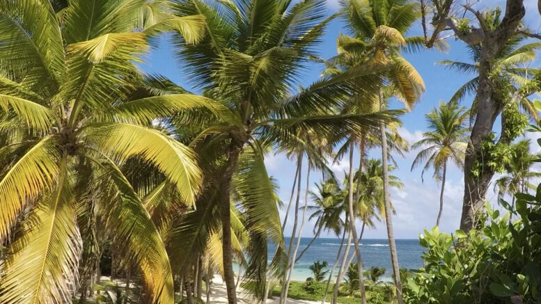 Antilles hors vacances scolaires : quelles semaines viser vraiment ?